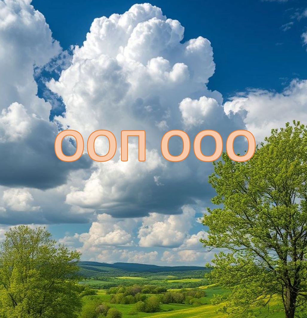 Марафон ООП ООО 2026